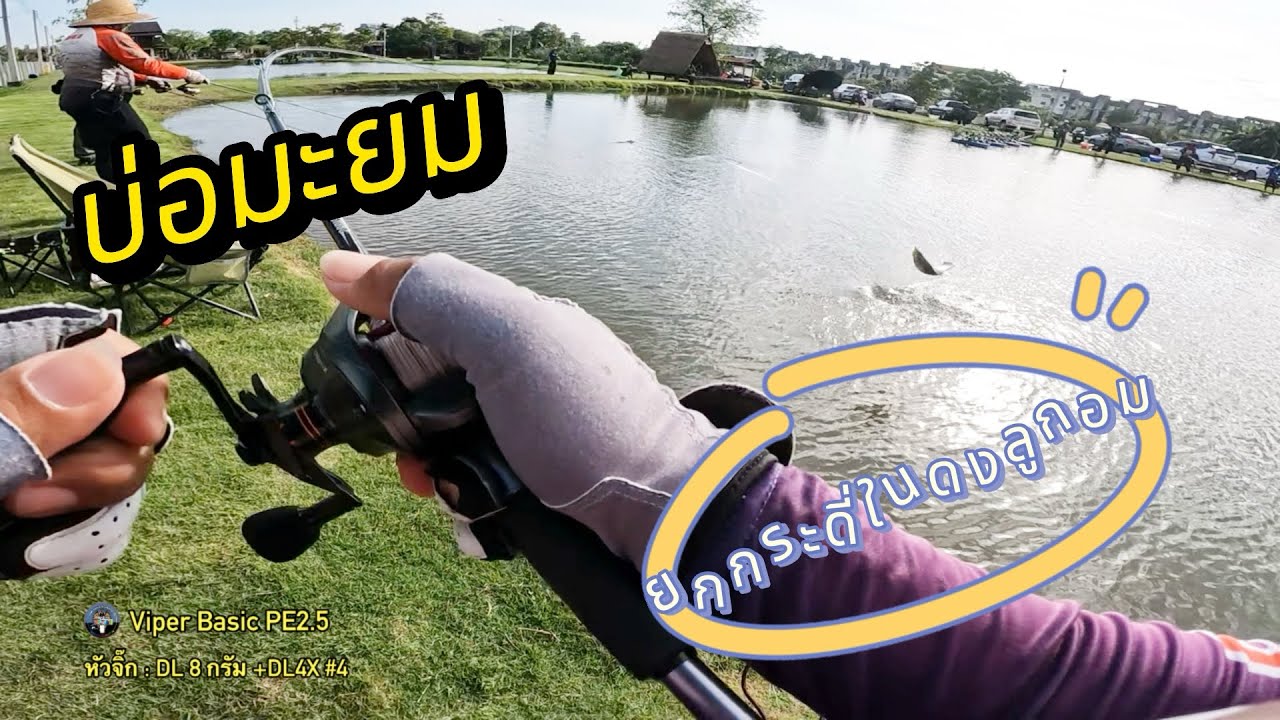 มาซ้ำบ่อมะยม 7 แต้มอีกแล้ว | กะพงบุฟเฟต์ บ่อลูกศร |