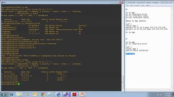 Cisco Network CCNP BGP - Prefixes