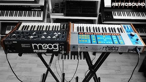 MOOG SOURCE vs. PRODIGY Analog Synthesizer - sound battle