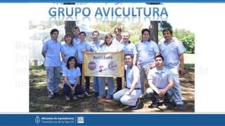 AREA PRODUCCION ANIMAL GRUPO AVICULTURA - 20161128