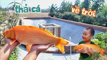 Bơm Nước Ao Và Thả Cá - Tiễn Ông Công Ông Táo Về Trời / Quế Nghịch