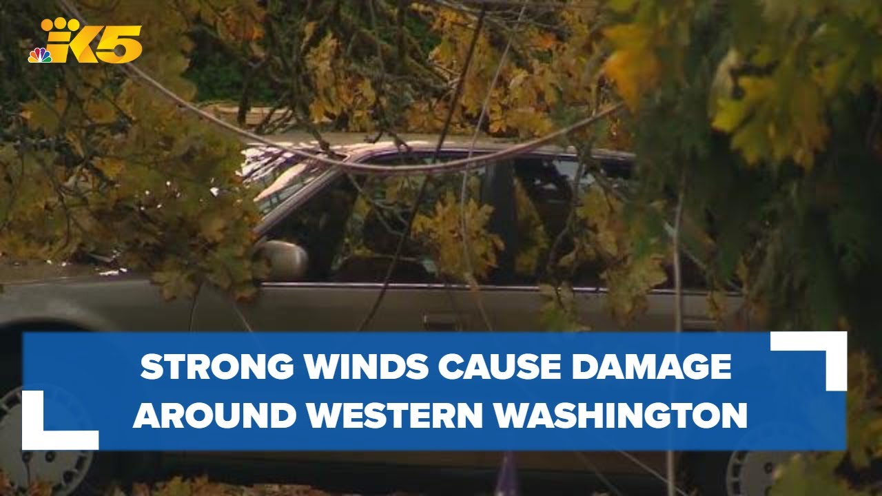 Strong winds cause power outages, property damage in western Washington ...
