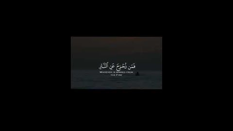 تلاوة في قمة الخشوع للشيخ عبدالرحمن ناجي لسورة أل عمران #عبدالرحمن_ناجي#محمد_اللحيدان