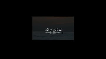 تلاوة في قمة الخشوع للشيخ عبدالرحمن ناجي لسورة أل عمران #عبدالرحمن_ناجي#محمد_اللحيدان