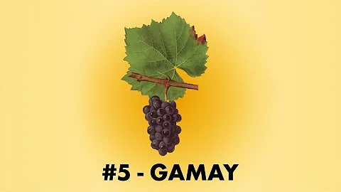 Quand boire un gamay ?