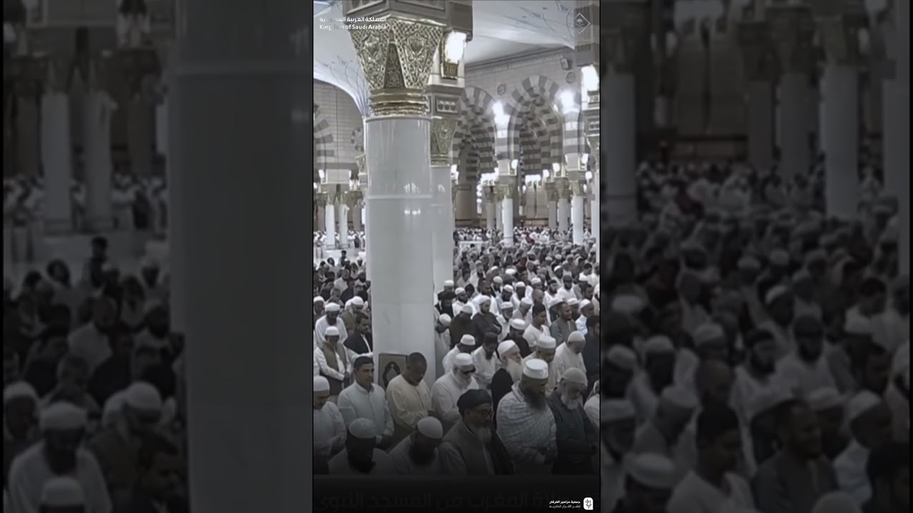 تصاميم قصيرة من الحرم النبوي | شهر شوال 1446هـ الحلقة الخامسة