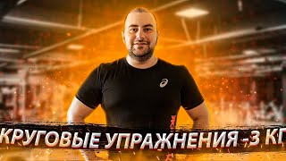 5 ПРОСТЫХ КРУГОВЫХ УПРАЖНЕНИЙ на КАЖДЫЙ ДЕНЬ