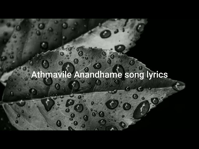 Athmavile Anandhame song Lyrics || Sajeer koppam ||Maya kinavil Mazhayakumo Nee|| class=