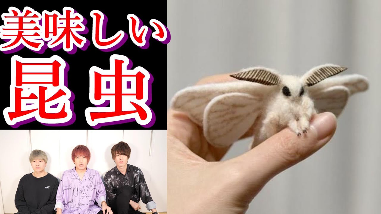 食料不足で虫を食べる時代が必ず来ます【都市伝説】【米津玄師もビックリ】