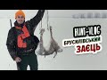 Hunt-Vlog Брусилівський заєць/ Брусиловский заец