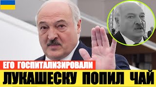 Лукашенко попил чай с Путиным и был госпитализирован (требует подтверждения)