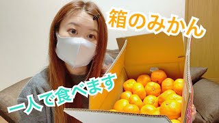 【大食い】一人で箱のみかん食べてみた【検証】