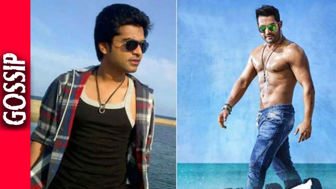 Simbu To Do Remake Of Temper - Kollywood Latest News & Gossips