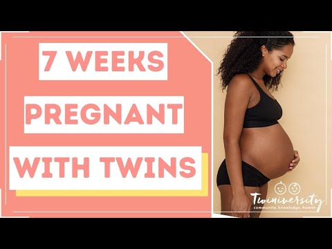 7 Weeks Pregnant With Twins Signs And Symptoms