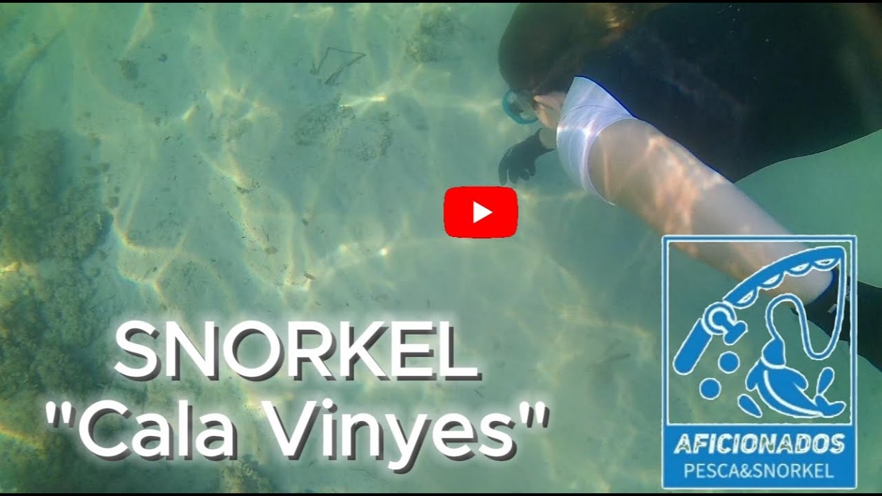 CALA VINYES, SNORKEL. 2025 MALLORCA