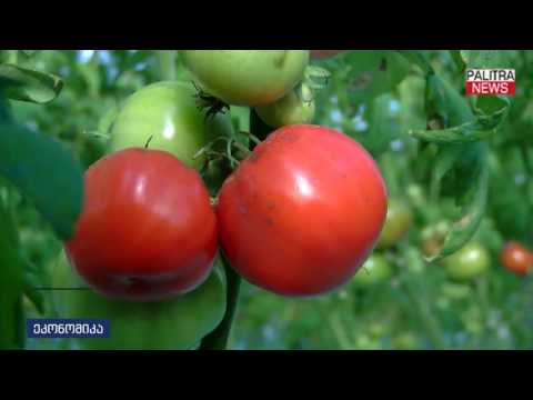 მცხეთაში ახალი საწარმო გაიხსნა