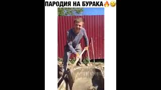 Пародия на БУРАКА