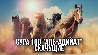 Сура 100 "Аль-Адийат" (Скачущие) - Мухаммад Мукит