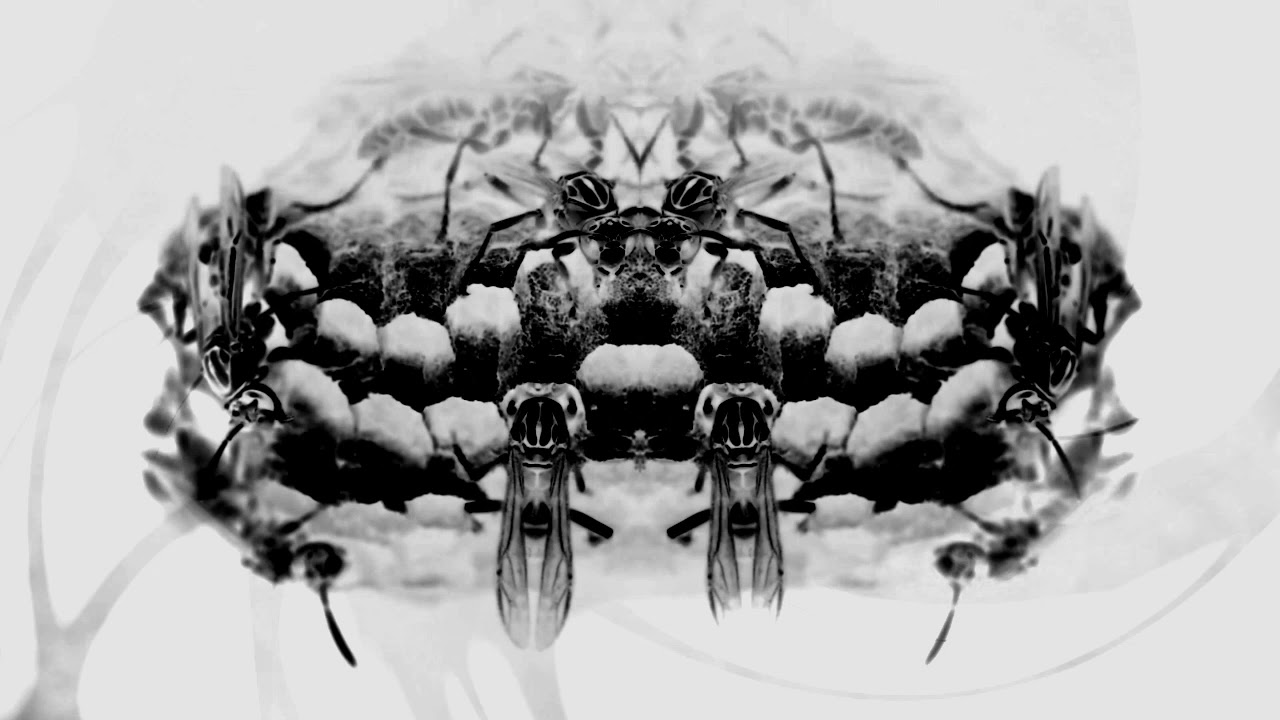 Kevin Follet - Overload (Official Videoclip)