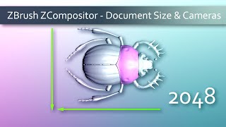 002 DocumentSizeAndSavingCameras