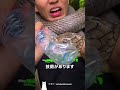 専門家も命がけの　キングコブラ素手制圧術