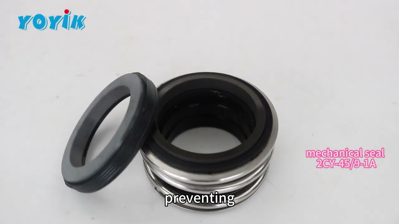 Pump mechanical seal 2CY-45/9-1A supply by Deyang YOYIK