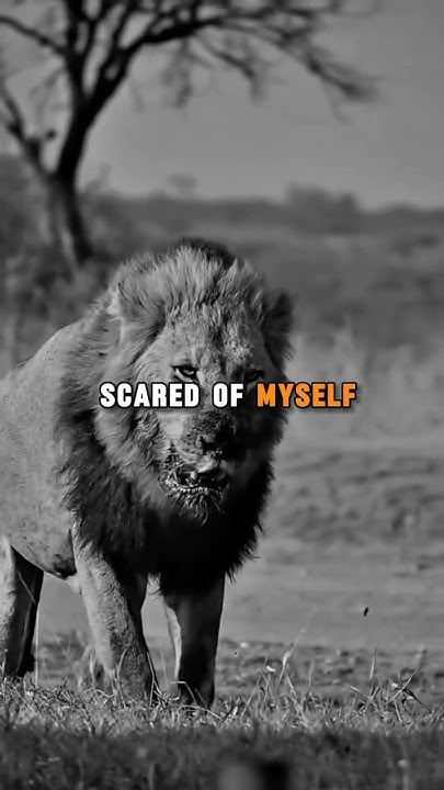 fear-no-one-shorts-youtubeshorts-trending-viralvideo