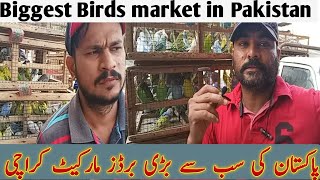 Lalokhet Sunday Birds Market 31 Mar 2019 Birds price in pakistan