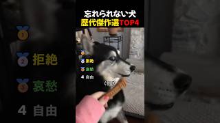 音を確認しないでください