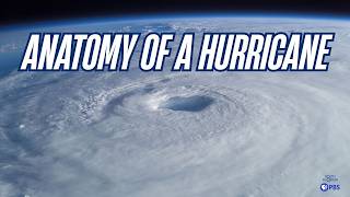 Inside The National Hurricane Center During The Historic 2004 Season | Anatomy Of A Hurricane