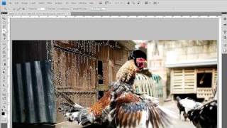 Photoshop CS4 Tutorial - First six tools overview (beginner)