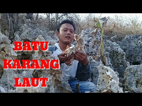 Video: Batu Karang. Versi Yang Digali - Pandangan Alternatif