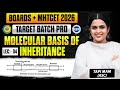 4. Molecular Basis of inheritance Part 4 | Class12th HSC Board | Target Batch 2.0  Tapi Miss Biology