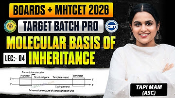 4. Molecular Basis of inheritance Part 4 | Class12th HSC Board | Target Batch 2.0  Tapi Miss Biology
