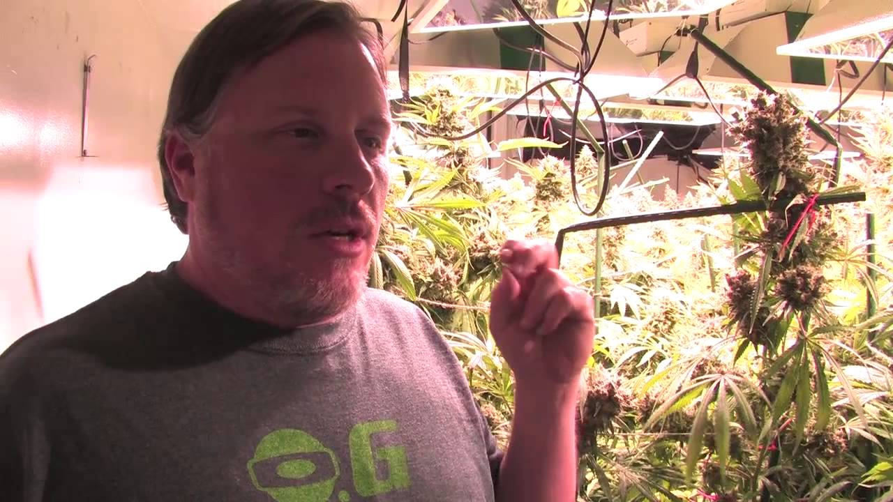 How many 315 lights LEC/CDL does it take to equal a 1000 Watt HPS