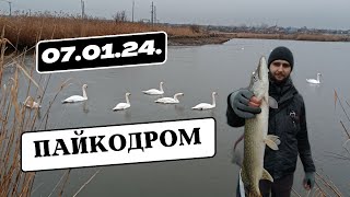 Пайкодром Грибовка. Несмотря на погоду, долбим щупаков !!! #пайкодром