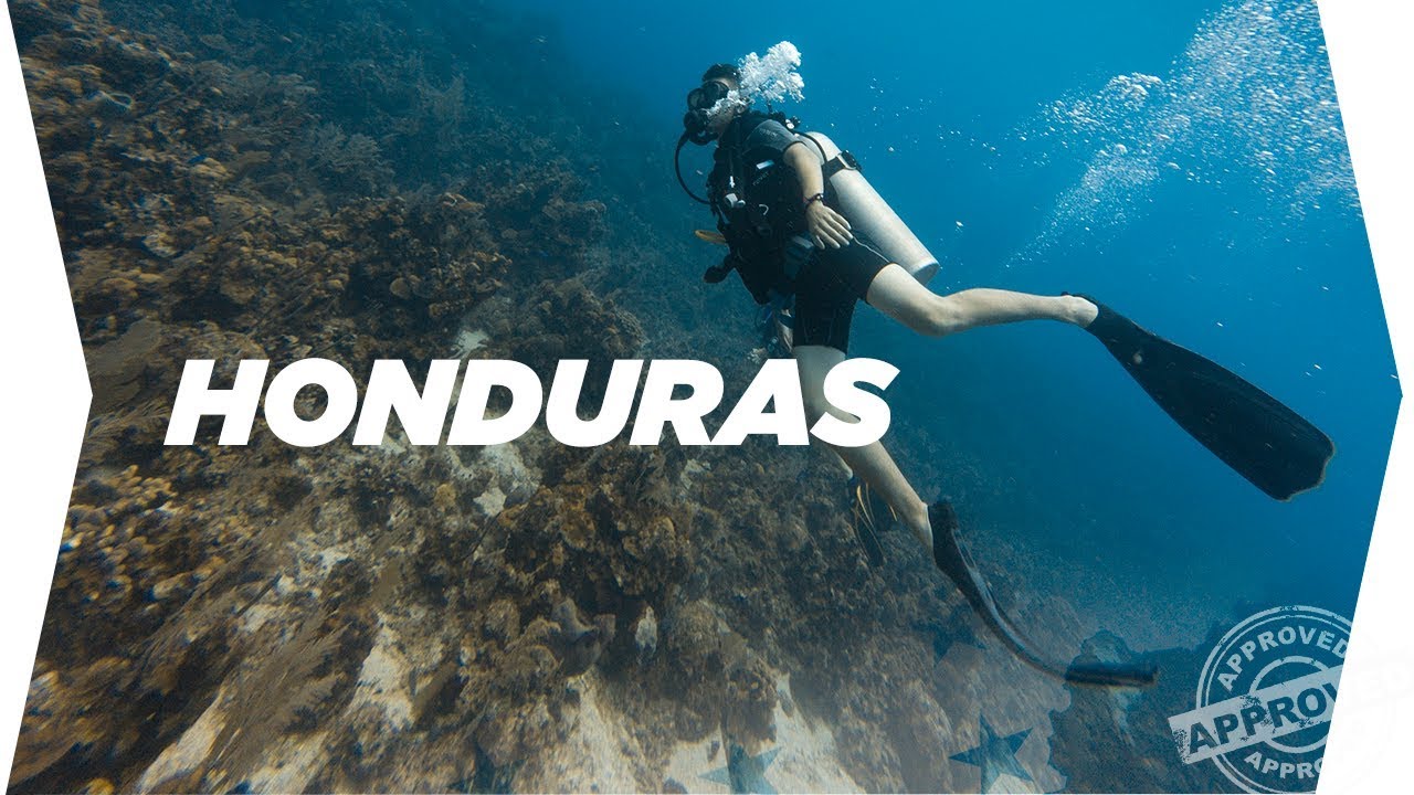 Infinity Diver Roatán Honduras | Padi Dive Center - YouTube