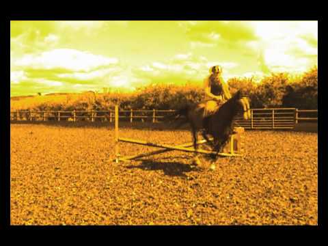 Jumping tara ~ Let it rock - pony match maker