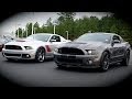 Shelby GT500 vs Roush Stage 3 Review, Comparison