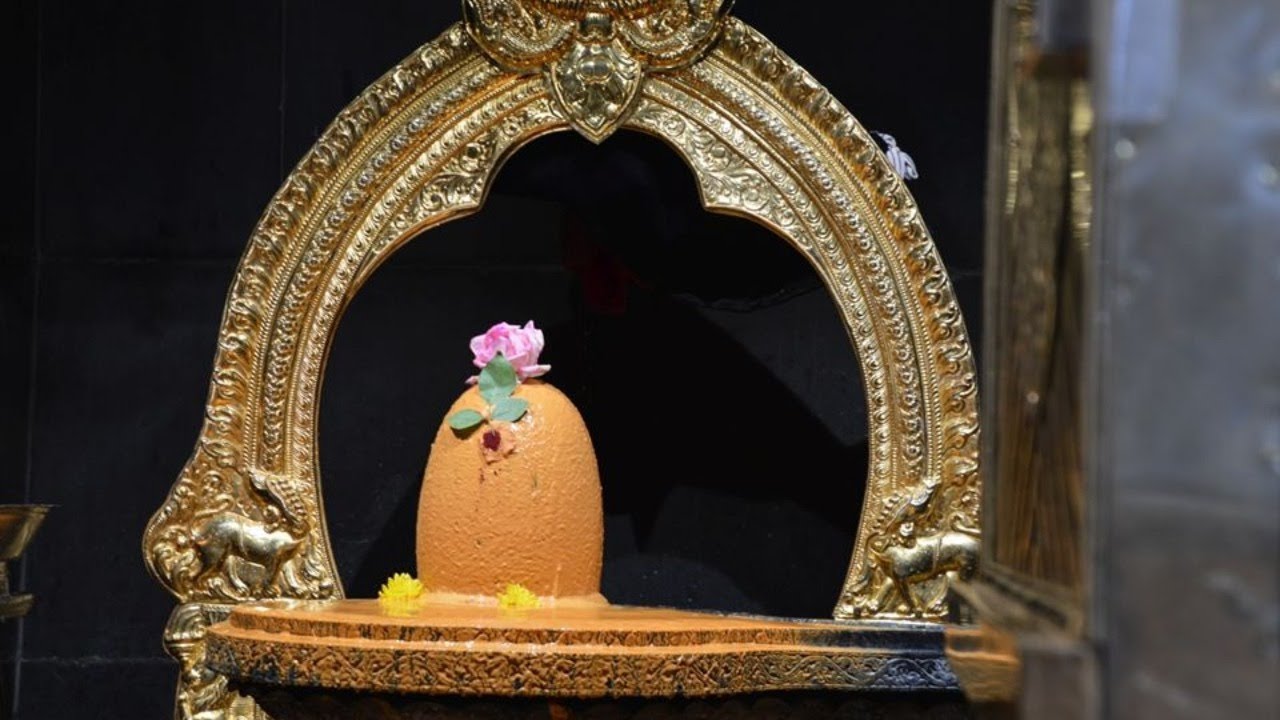 Sri Maha Lakshmi abhishekam