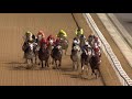 RB MONEY TO BURN torches them gate-to-wire in the G1 Purebred Arabian Al Maktoum Challenge Round 1