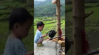 Single mother The life of Ngoan and her two children with the help of the government part 2