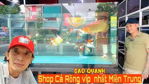 Tham quan tiệm Cá Rồng lớn nhất Miền Trung Quảng Ngãi - Thái Salem vê lốc