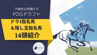 【POG・一口馬主】2024‐25POG POGドラフト 7人の1位指名馬と隠し玉の合計14頭の紹介【ゆっくり動画】