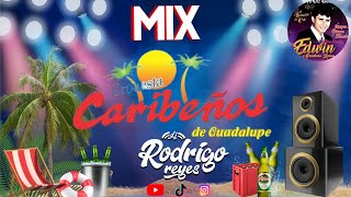 MIX CARIBEÑOS DE GUADALUPE 🍺 | (Vivo Por Tu Amor,  La Farsa, Mentiras) DJ RODRIGO REYES