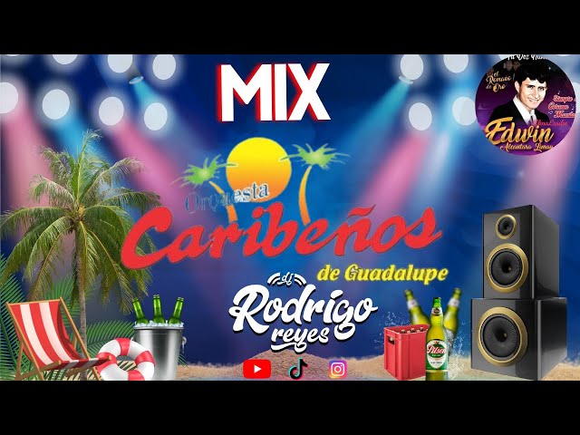 MIX CARIBEÑOS DE GUADALUPE 🍺 | (Vivo Por Tu Amor,  La Farsa, Mentiras) DJ RODRIGO REYES class=