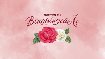 Bông Hồng Cài Áo - Nguyên Hà | lời thơ: thiền sư Thích Nhất Hạnh| St.Phạm Thế Mỹ 「 MV Lyrics」