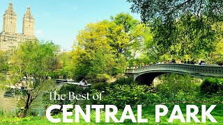 Walking Tour | New York City🗽 Central Park Spring Walk