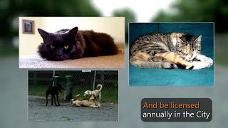 Pet Licensing