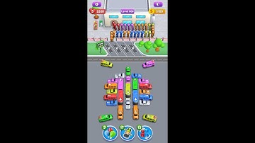 Crowd Express Boarding Puzzle Level 806